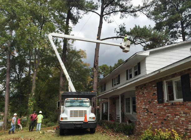 Best Seasonal Cleanup (Spring/Fall)  in Norcross, GA